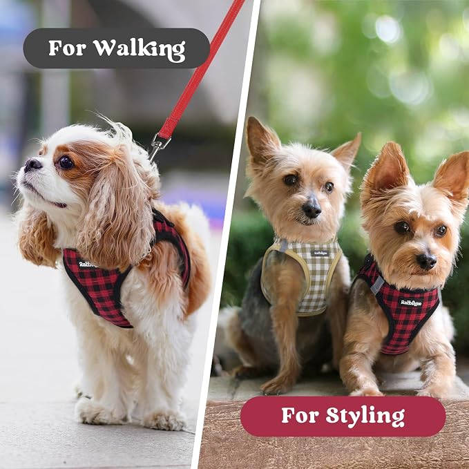 rabbitgoo Step-in Small Dog Harness, Puppy Vest for Small Sized Pet | Easy Put on and off, Lightweight, Soft, Breathable Quick-Dry Air Mesh for Comfortable Secure Walking, Red Check S - Image 9