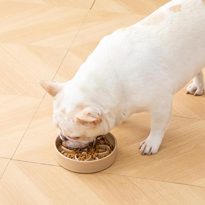 vancasso Ceramic Slow Feeder Dog Bowls, Puzzle Dog Food Bowls with Floral Maze, Anti -Slip Pet Food Dish for Small Breed, 0.6 Cups, Brown - Image 7