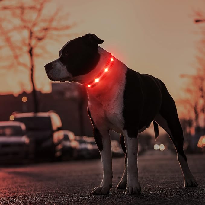 MASBRILL Led Dog Collar, Rechargeable Light Up Collar with Flashing Glow for Night Safety - Image 6