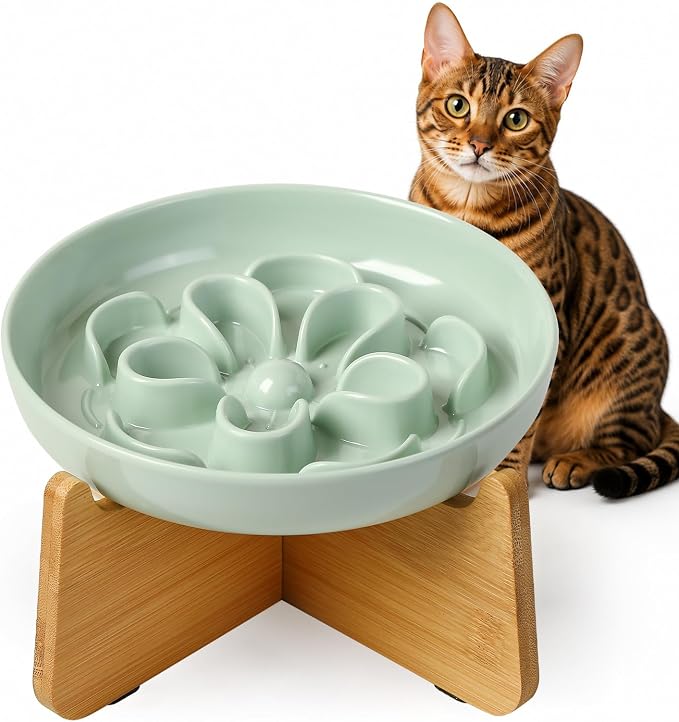 Elevated Slow Feeder Cat Bowl - Melamine Cat Dish with Anti-Slip Bamboo Stand - Whisker Friendly Feeding Bowl - Floral Maze Food Plate for Slow Eating - Green by PTOBER