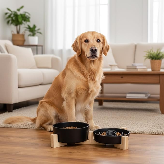 Ceramic Slow Feeder Dog Bowl Set-0.8 Cup Puzzle Dog Food Bowl（≈180g Food） for Fast Eater & 850ML Dog Water Bowl with Wooden Stand for Small Dogs and Cats,Anti-Slip,Black - Image 4