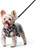 rabbitgoo Dog Harness Small Sized and Leash Set, Step-in Puppy Pet Vest | Light, Soft, Breathable Air Mesh, Easy on and Remove with Hook & Loop, Secure Reflective for Walking, Midnight Daisy XS by rabbitgoo