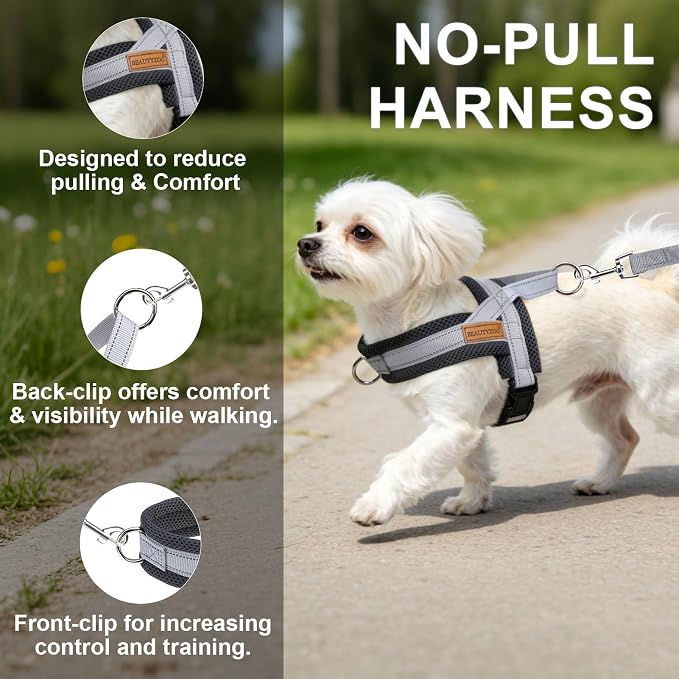 BEAUTYZOO Small Dog Harness and Leash Set, No Pull Step in Puppy Vest | Breathable Mesh with Handle, Reflective, Adjustable No Choke Escape Proof, Lightweight, Easy Control for Walking, Grey XS - Image 8