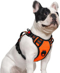rabbitgoo Large Dog Harness, Easy Wear with 3 Buckles and Lift Handle | No Pull with Front Clip for Walking, Adjustable Soft Padded, Reflective, Easy Control, Orange, Small by rabbitgoo