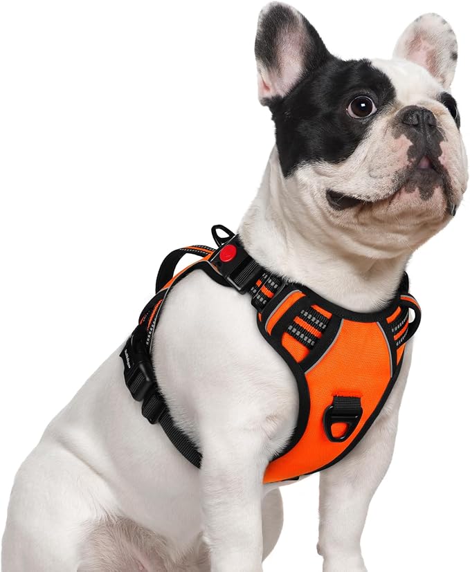 rabbitgoo Large Dog Harness, Easy Wear with 3 Buckles and Lift Handle | No Pull with Front Clip for Walking, Adjustable Soft Padded, Reflective, Easy Control, Orange, Small by rabbitgoo