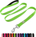 6 FT Basic Dog Leash for Medium Dogs,Green | Padded Handle,Metal D-Ring,Heavy Duty Nylon Webbing, for Walking & Training by Penseepet