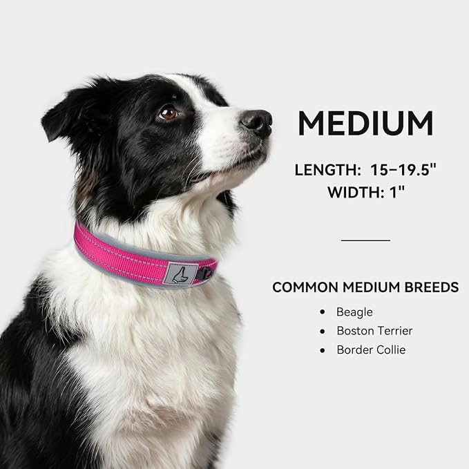 Joytale Reflective Dog Collar for Medium Dogs with Wide Padding, Hotpink | Soft Cushion Reduce Neck Strain, Night Safety Walking, Metal Buckle and Adjustable Eyelets, Separated Dog ID Tag Ring - Image 5