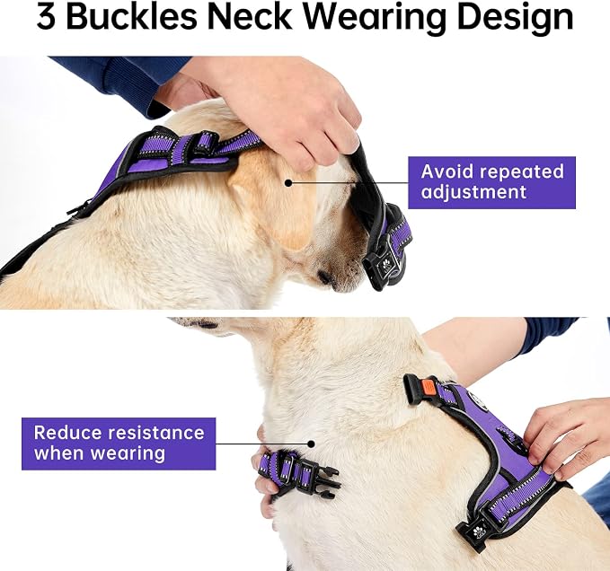 IVY&LANE No Pull Dog Harness for Small Dogs, Dog Vest Harness with Leash, Safety Belt and Storage Strap, Fully Adjustable Harness, 360° Reflective Strip, Soft Handle (Purple, S) - Image 3