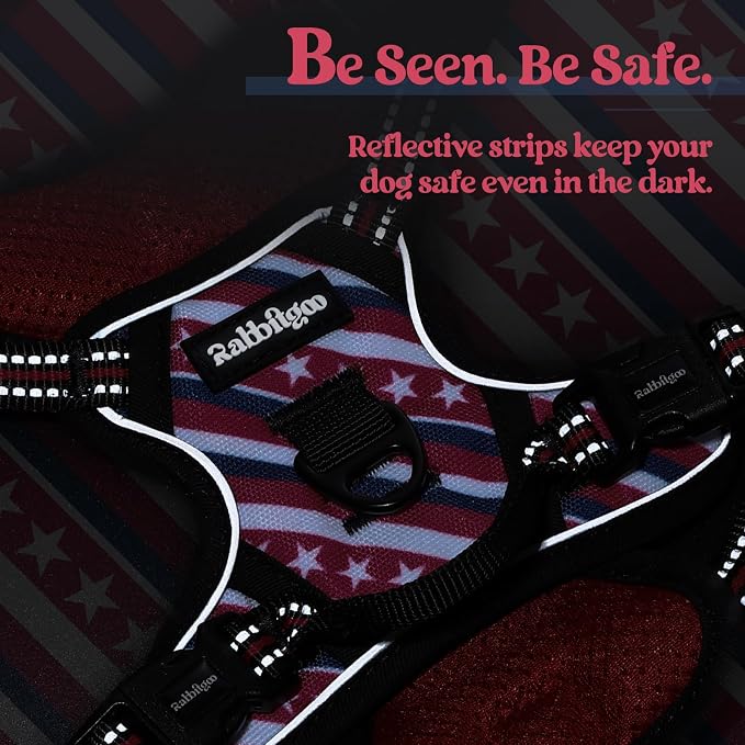 rabbitgoo Dog Harness, No Pull for Small Dogs with 2 Leash Clips, Pet Vest | No Choke with Handle, Adjustable Soft Padded, Reflective, Easy Control for Walking, Red Stripe, X-Small - Image 7