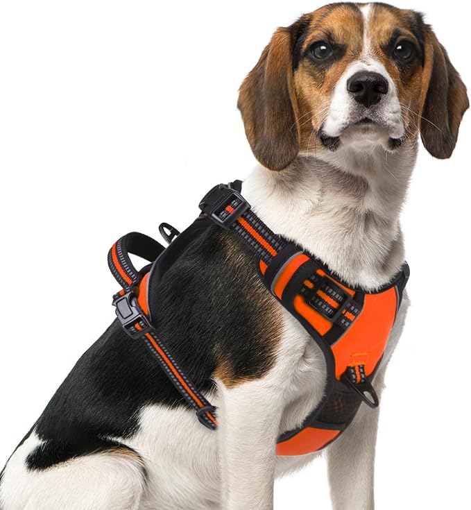 PUPTECK No Pull Dog Harness Medium Sized, Adjustable Reflective Dog Harness with Handle Easy Control, Comfortable Soft Padded Pet Vest Harness for Medium Dogs, Orange M by PUPTECK