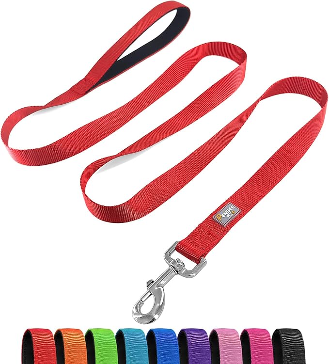 6 FT Reflective Dog Leash for Small Dogs,Red | Padded Handle,Metal D-Ring,Heavy Duty Nylon Webbing, for Walking & Training by Penseepet