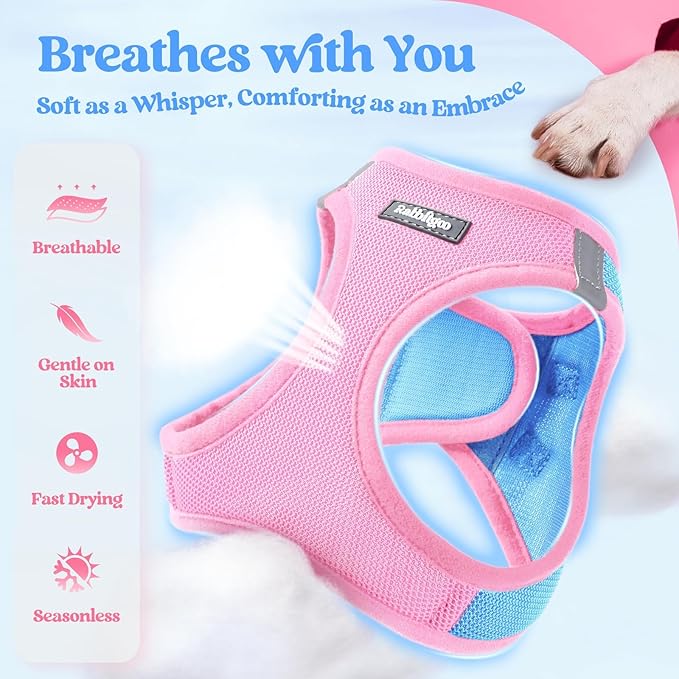 rabbitgoo Dog Harness Small Sized and Leash Set, Step-in Puppy Pet Vest | Light, Soft, Breathable Air Mesh, Easy on and Remove with Hook & Loop, Secure Reflective for Walking, Blue & Light Pink M - Image 3