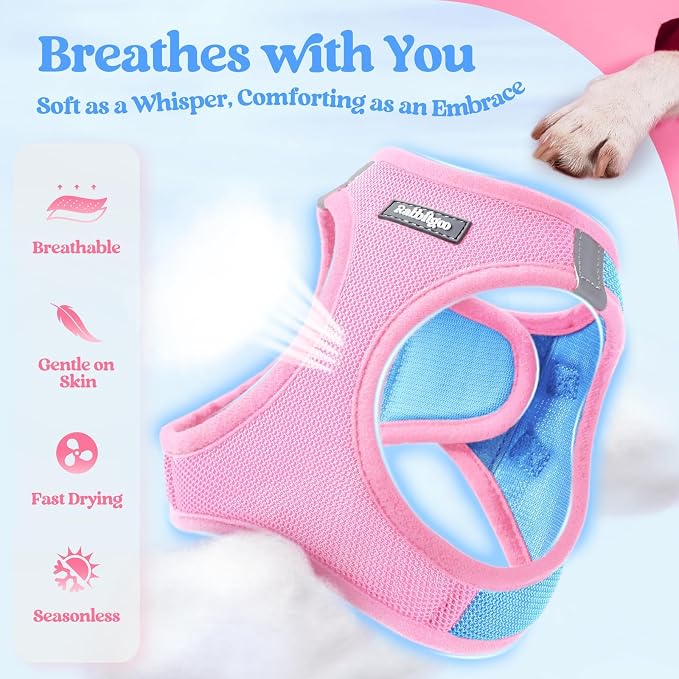 rabbitgoo Dog Harness Small Sized and Leash Set, Step-in Puppy Pet Vest | Light, Soft, Breathable Air Mesh, Easy on and Remove with Hook & Loop, Secure Reflective for Walking, Blue & Light Pink S - Image 3