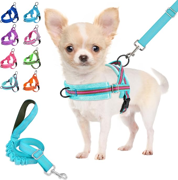 Lukovee Small Dog Harness and Leash Set, No Pull Soft Padded Vest | Both Neck & Chest Adjustable, Reflective, Puppy Harness with 4ft Lightweight Anti-Twist Dog Leash for Small Dogs (01-LBL, XS) by Lukovee