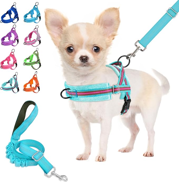 Lukovee Small Dog Harness and Leash Set, No Pull Soft Padded Vest | Both Neck & Chest Adjustable, Reflective, Puppy Harness with 4ft Lightweight Anti-Twist Dog Leash for Small Dogs (01-LBL, S) by Lukovee