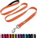 6 FT Basic Dog Leash for Medium Dogs,Orange | Padded Handle,Metal D-Ring,Heavy Duty Nylon Webbing, for Walking & Training by Penseepet