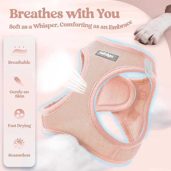 rabbitgoo Dog Harness Medium Sized and Leash Set, Step-in Puppy Pet Vest | Light, Soft, Breathable Air Mesh, Easy on and Remove with Hook & Loop, Secure Reflective for Walking, Pink XXL - Image 4