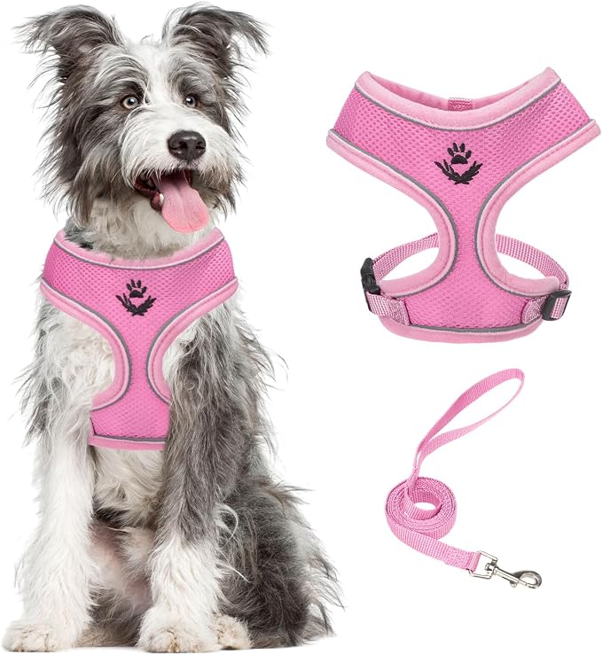 PUPTECK Small Dog Harness and Leash Set No Pull for XS XXS Sized Dogs Puppy | Escape Proof No Choke Pet Cat Adjustable Soft Padded Walking Vest by PUPTECK