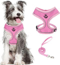 PUPTECK Small Dog Harness and Leash Set No Pull for XS XXS Sized Dogs Puppy | Escape Proof No Choke Pet Cat Adjustable Soft Padded Walking Vest by PUPTECK