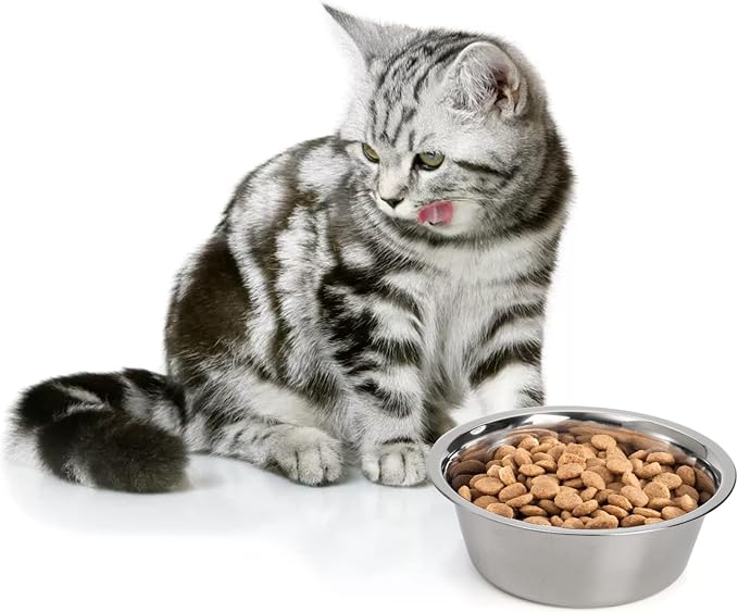 DEAYOU 4-Pack Stainless Steel Dog and Cat Bowl, Metal Food and Water Dish, 8.26" Basic Pet Feed Bowl for Large Medium Dog, 47 OZ Replacement Bowls for Elevated Stand, Dishwasher Safe - Image 7