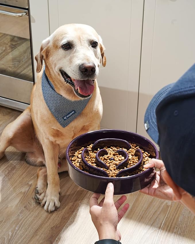 LE TAUCI Slow Feeder Dog Bowls Ceramic, 3 Cups Slow Feeding Dog Bowl Medium Large Breed, Pet Bowl for Fast Eaters, Puzzle Pet Dishes, Maze Purple - Image 2