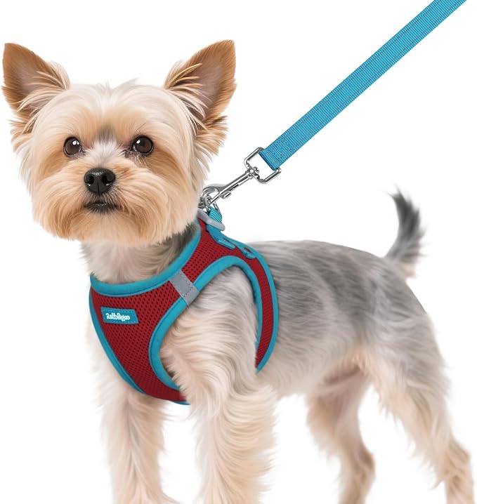 rabbitgoo Dog Harness Small Sized and Leash Set, Step in Soft Vest | Breathable Mesh, Easy Wear with Hook & Loop, Light and Reflective for Walking, Multi-colored, Red & Teal, XS by rabbitgoo