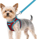 rabbitgoo Dog Harness Small Sized and Leash Set, Step in Soft Vest | Breathable Mesh, Easy Wear with Hook & Loop, Light and Reflective for Walking, Multi-colored, Red & Teal, XS by rabbitgoo