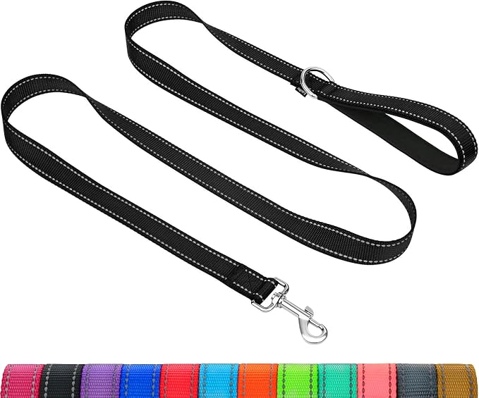 Taglory Reflective Dog Leash for Small Dogs, 3/4in x 5ft, Black | Ideal for Night Walking, Strong for Sudden Pulls, Lightweight & Gentle on the Neck, Soft Padded Handle by Taglory