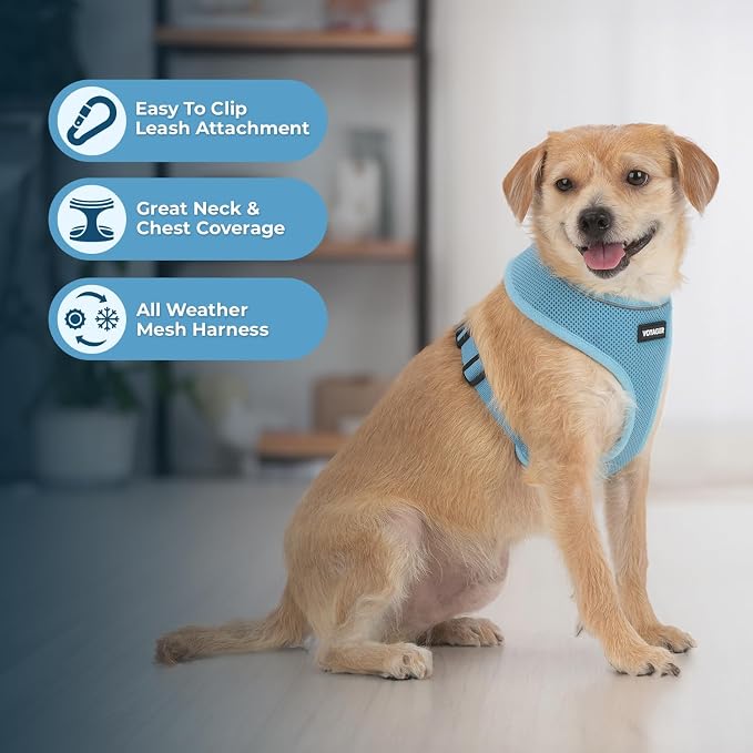 Best Pet Supplies Voyager Aerolite Over the Head Dog Harness, No Pull Breathable Air Mesh Vest, Quick Dry with Reflective Stitching, Adjustable Escape Resistant Harness - Blue, Large - Image 5