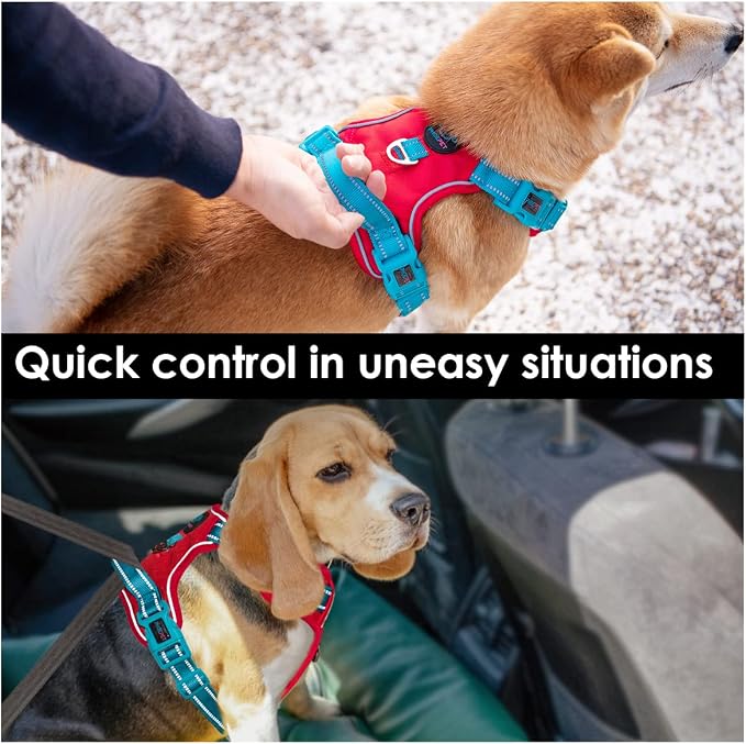 No Pull Dog Harness, Unique Colors Reflective Adjustable Dog Vest, with Soft Training Handle Metal Clips for Small Medium Large Dogs (Red Base & Teal Straps,XS) - Image 5