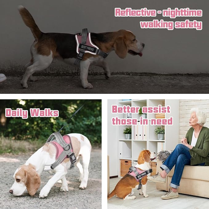 AUROTH Dog Harness and Leash Set for Large Sized Dog, No Pull Dog Vest | with Leash Clips, LED light clip, Soft Padded No Choke, Escape Proof, Easy Walking and Training, Pink, XL - Image 4