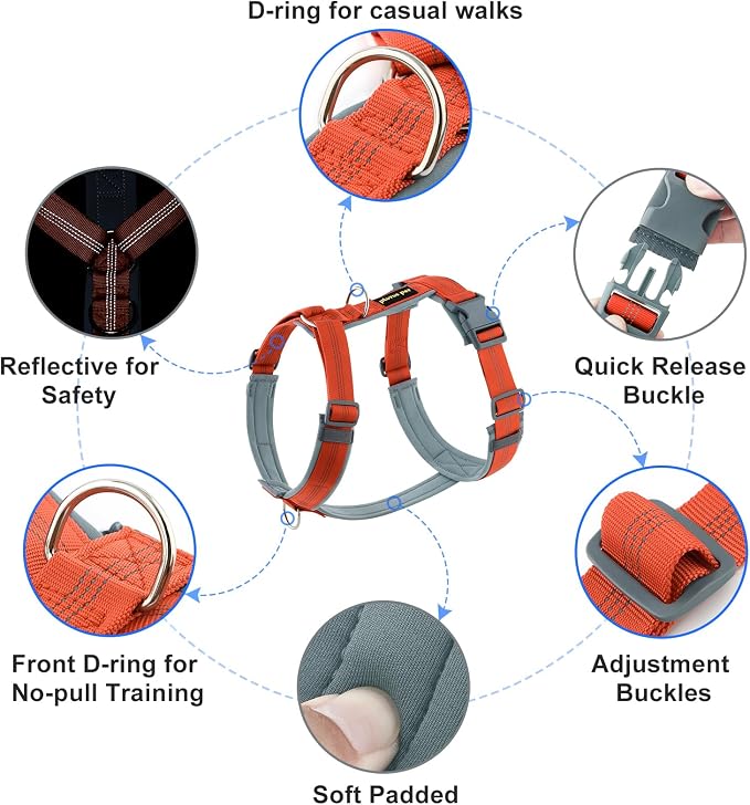 Plutus Pet No Pull Dog Harness, Adjustable Nylon Harness with Soft Padding | Reflective with Front Clip, Heavy Duty for Training and Walking, for Small Medium Large Dogs, Orange, S - Image 2