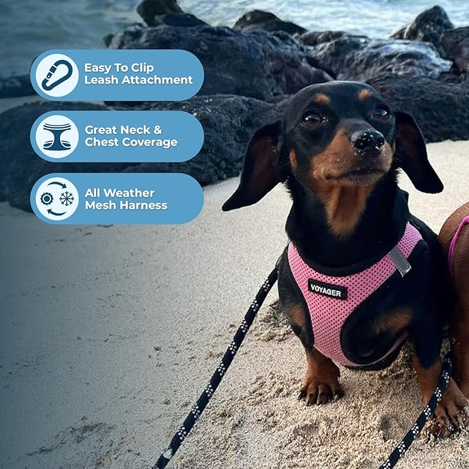 Voyager Step-in Air Dog Vest Harness - Pink/Black Trim, Small | 14.5-16" in Chest, Reflective Bands, All Weather Breathable Air Mesh, Cats Compatible, Lightweight, Fast Drying - Image 3