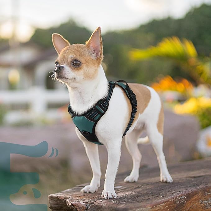 Eagloo Dog Harness for Small Dogs, No Pull Pet Vest with 2 Leash Clips | No Choke with Handle, Adjustable Comfort Fit, Reflective Strips, Easy Walking Control, Dark Green, X-Small - Image 9