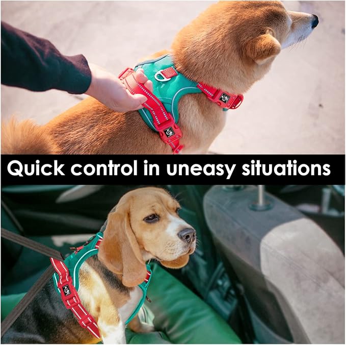 No Pull Dog Harness, Unique Colors Reflective Adjustable Dog Vest | with Soft Training Handle Metal Clips for Small Medium Large Dogs (Dark Green Base & Red Straps,XL) - Image 5