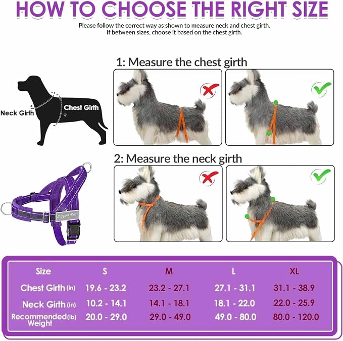 Lukovee No Pull Dog Harness and Leash Set, Soft Padded Vest with Front Clip | Adjustable, No Choke, Reflective,Durable Easy Control Pet Vest Harness for Safe Walking for Medium Large Dogs (Purple, XL) - Image 5
