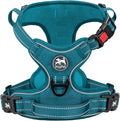 PoyPet No Pull Dog Harness, Reflective Vest with 2 Leash Clips & Handle | Lockable Neck Release Buckle, No Choke, Adjustable, Soft Padded, for Walking Training, Tumalo Teal, X-Small by PoyPet