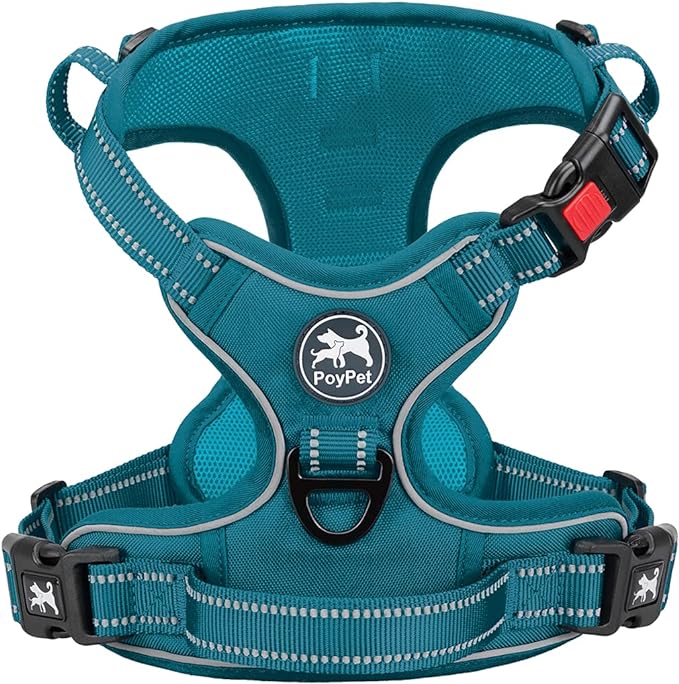 PoyPet No Pull Dog Harness, Reflective Vest with 2 Leash Clips & Handle | Lockable Neck Release Buckle, No Choke, Adjustable, Soft Padded, for Walking Training, Tumalo Teal, Large by PoyPet