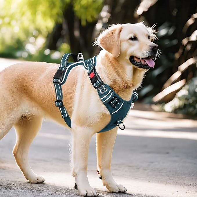 Timos Dog Harness, No Pull Large Sized with 3 Buckles, Blackish Green, L | Reflective, No Choke, Easy On & Off, Adjustable Soft Padded, Front & Back 2 Clips and Control Handle for Walking Training - Image 6