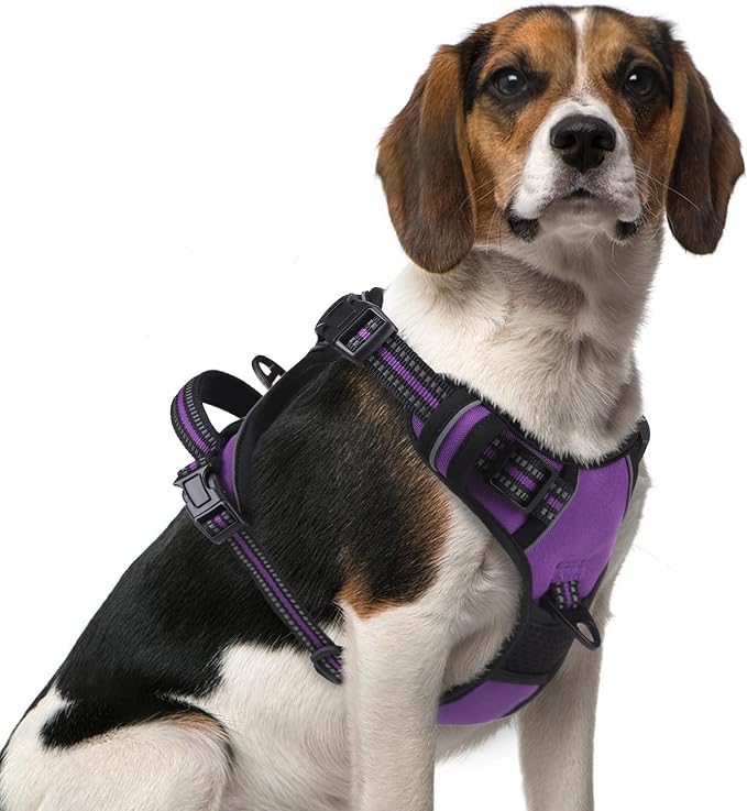 PUPTECK No Pull Dog Harness Medium Sized, Adjustable Reflective Dog Harness with Handle Easy Control, Comfortable Soft Padded Pet Vest Harness for Medium Dogs, Solid Purple M by PUPTECK