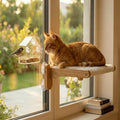 Cat Window Perch with Bird Feeder – Foldable Hammock, Strong Suction Cups for Indoor Cats (Nature-2) by Unknown