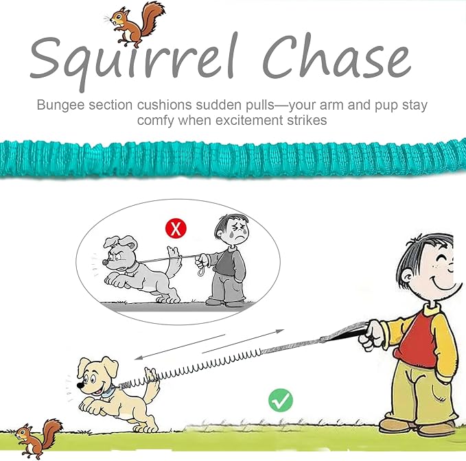 5FT Bungee Dog Leash Shock Absorbing Reflective Small Medium Dogs | Nylon Lightweight Leash- 2cm Wide- Anti- Pull Training- 6 Colors (Turquoise) - Image 2