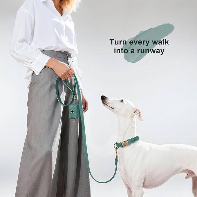 Didog PU Leather Dog Leash for Medium Large Dogs, 3/4in x 5ft, Green | Soft Grip Full Control, Easy Clean, Metal D-ring for Poop Bag Holder, Tangle-Free 360° Swivel Clasp, for Walking & Training - Image 2