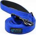 Max and Neo Reflective Nylon Dog Leash - 4 FT x 1 Inch Wide, Blue by MaxandNeo