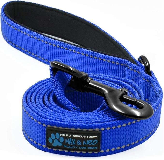Max and Neo Reflective Nylon Dog Leash - 4 FT x 1 Inch Wide, Blue by MaxandNeo