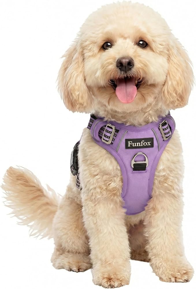 Dog Harness No Pull, Adjustable Pet Vest Harness, Super Soft Material with Vertical Handle Easy Control, Reflective Night Walking, 2 Leash Clips for Small Sized Dogs, Purple, S by MyFUNFOX