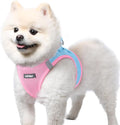 rabbitgoo Step-in Small Dog Harness, Puppy Vest for Small Sized Pet | Easy Put on and off, Lightweight, Soft, Breathable Quick-Dry Air Mesh for Comfortable Secure Walking, Blue & Light Pink S by rabbitgoo