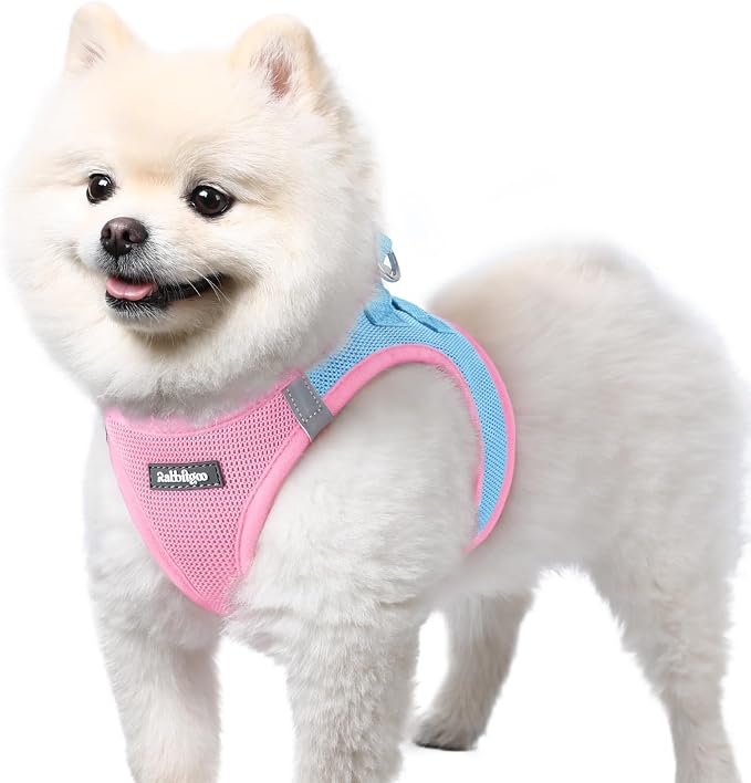 rabbitgoo Step-in Small Dog Harness, Puppy Vest for Small Sized Pet | Easy Put on and off, Lightweight, Soft, Breathable Quick-Dry Air Mesh for Comfortable Secure Walking, Blue & Light Pink S by rabbitgoo