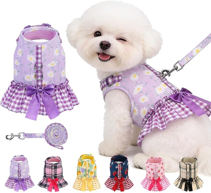 EXPAWLORER Dog Harness Small Medium Sized Dogs, No Choke No Pull Mesh Vest | Daisy Dog Dress Bowknot Harness and Leash Set, Soft Cute Princess Puppy Outfits Clothes Costume for Girls Party Cats Purple S by EXPAWLORER