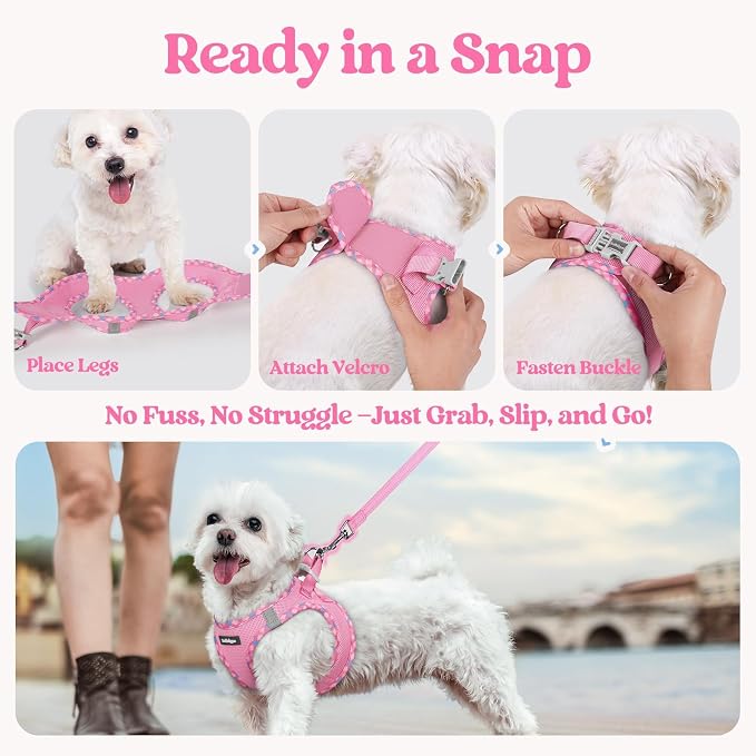 rabbitgoo Dog Harness Small Sized and Leash Set, Step-in Puppy Pet Vest | Light, Soft, Breathable Air Mesh, Easy on and Remove with Hook & Loop, Secure Reflective for Walking, Pink & Plaid Trim M - Image 8